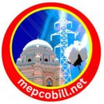 Government Company